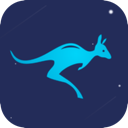 Daishu Mobile VPN, 袋鼠手机梯子加速器