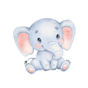 Daxiang Mobile VPN, 大型象类动物手机梯子加速器