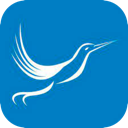 Fengniao Mobile VPN, 蜂鸟应用手机梯子加速器