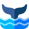 Whitewhale Mobile VPN